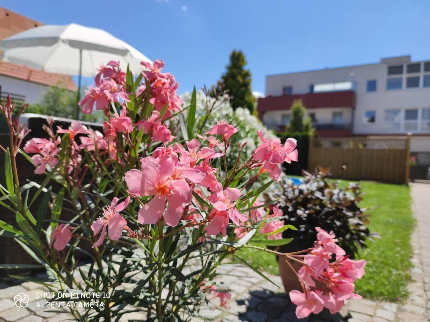 Appartement/ferienhaus Sonnenhain Ferienhaus